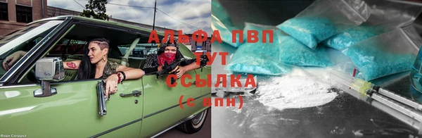 прущие грибы Приозерск