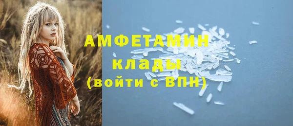амф Алексин