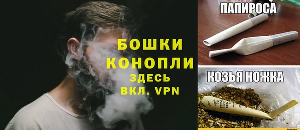 прущие грибы Приозерск