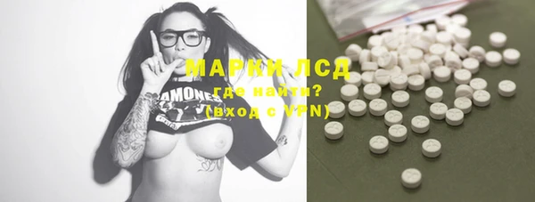 PSILOCYBIN Алзамай