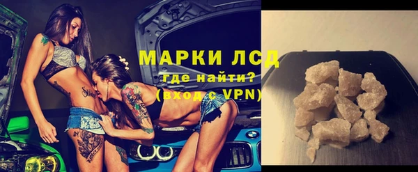 PSILOCYBIN Алзамай
