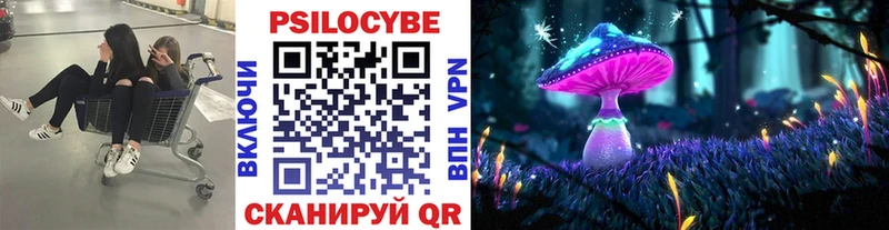 Галлюциногенные грибы Psilocybine cubensis закладка Полярные Зори
